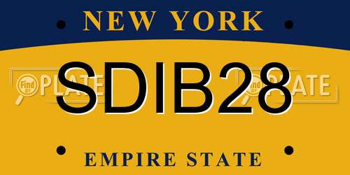 SDIB28 New York License Plate