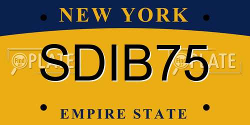 SDIB75 New York License Plate