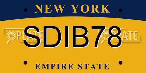SDIB78 New York License Plate