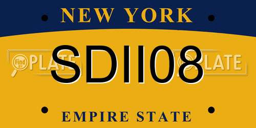 SDII08 New York License Plate