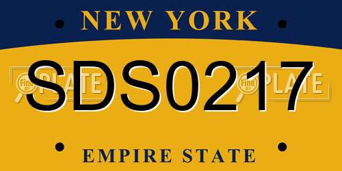 SDS0217 New York License Plate