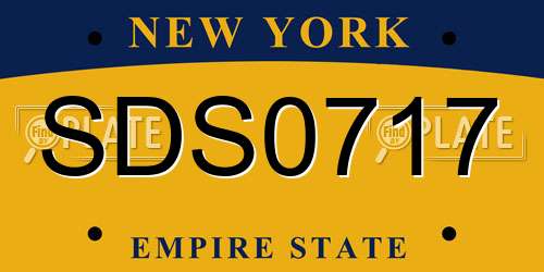 SDS0717 New York License Plate