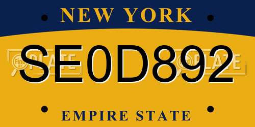 SE0D892 New York License Plate