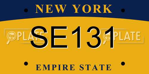 SE131 New York License Plate