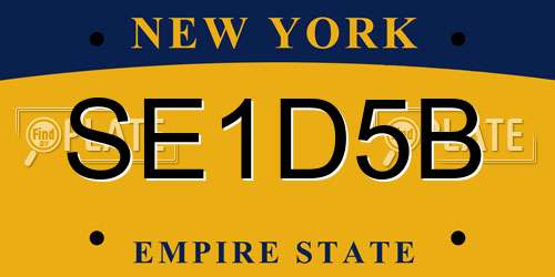 SE1D5B New York License Plate