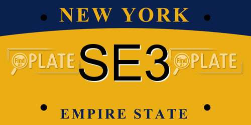 SE3 New York License Plate