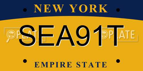 SEA91T New York License Plate