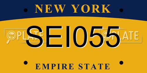 SEI055 New York License Plate
