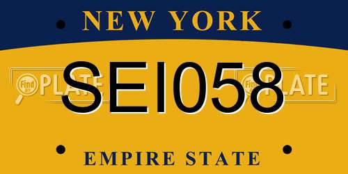 SEI058 New York License Plate