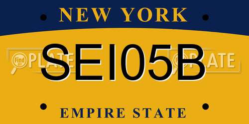 SEI05B New York License Plate