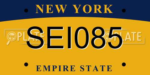 SEI085 New York License Plate