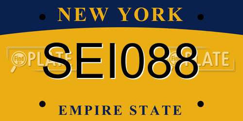 SEI088 New York License Plate