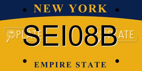 SEI08B New York License Plate