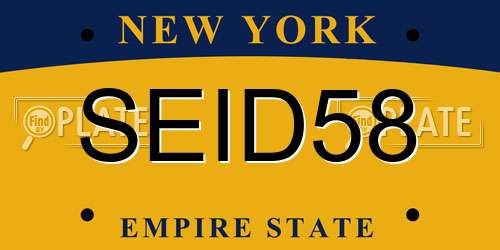 SEID58 New York License Plate