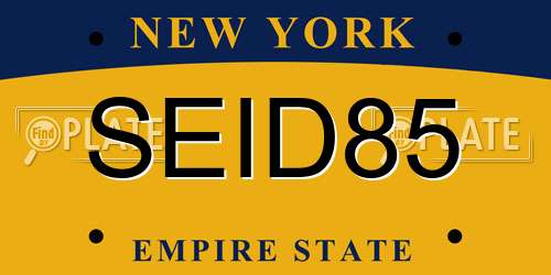 SEID85 New York License Plate