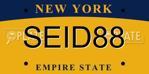 SEID88 New York License Plate