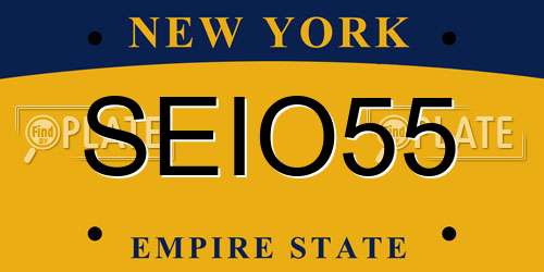 SEIO55 New York License Plate