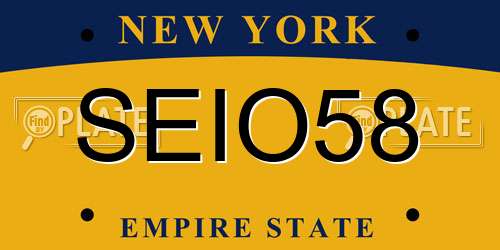 SEIO58 New York License Plate