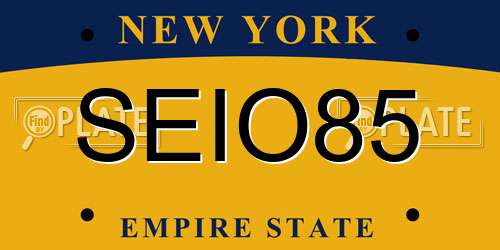 SEIO85 New York License Plate
