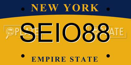 SEIO88 New York License Plate