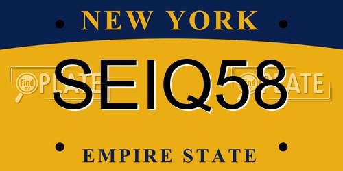 SEIQ58 New York License Plate