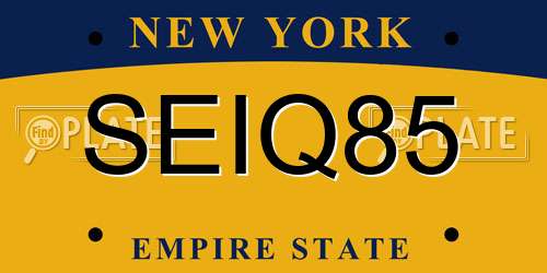 SEIQ85 New York License Plate