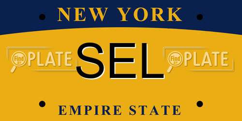 SEL New York License Plate