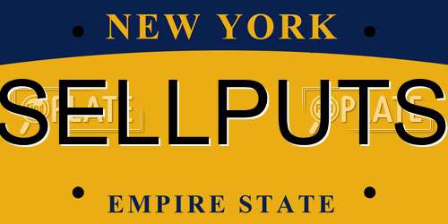 SELLPUTS New York License Plate