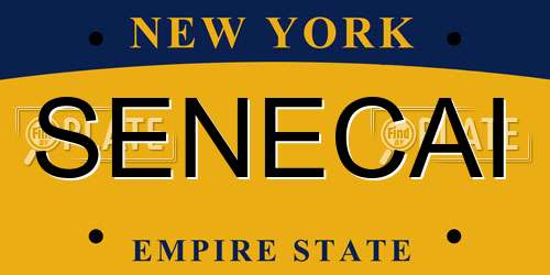 SENECAI New York License Plate