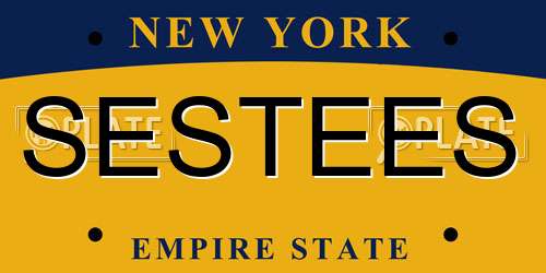 SESTEES New York License Plate