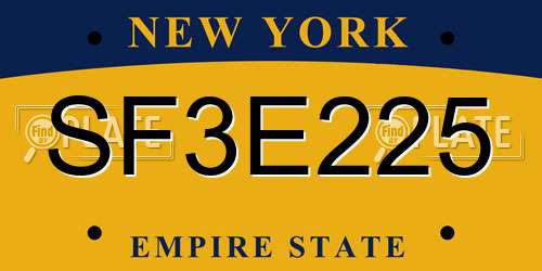 SF3E225 New York License Plate