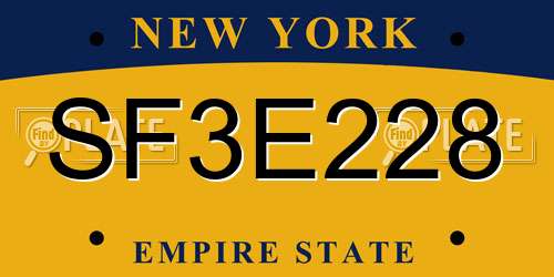 SF3E228 New York License Plate