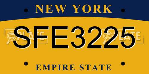 SFE3225 New York License Plate