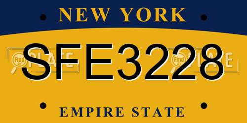 SFE3228 New York License Plate