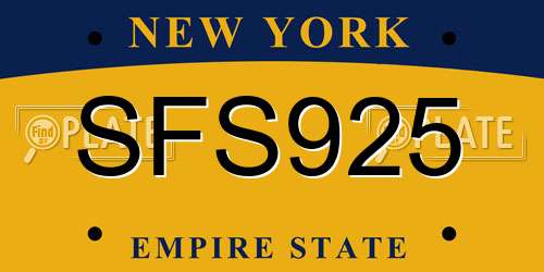 SFS925 New York License Plate