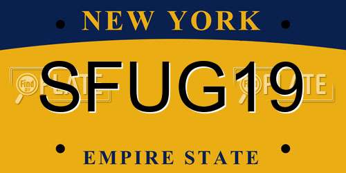 SFUG19 New York License Plate