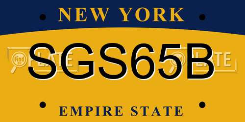 SGS65B New York License Plate