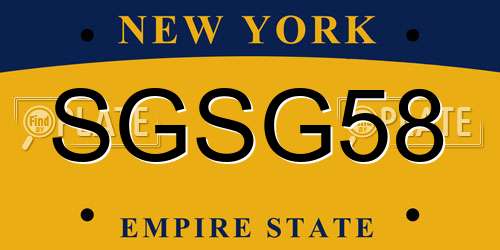 SGSG58 New York License Plate