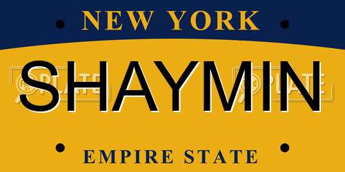 SHAYMIN New York License Plate