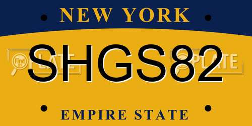 SHGS82 New York License Plate