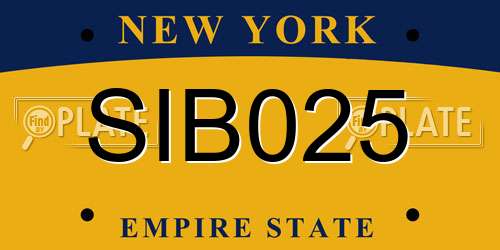 SIB025 New York License Plate