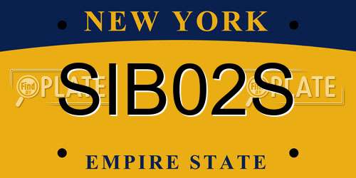 SIB02S New York License Plate