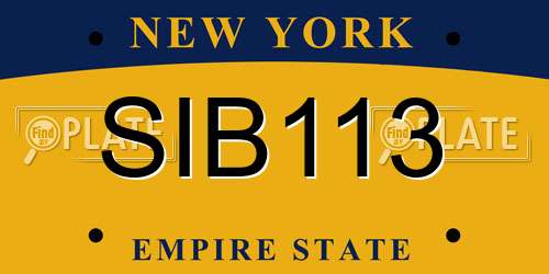 SIB113 New York License Plate