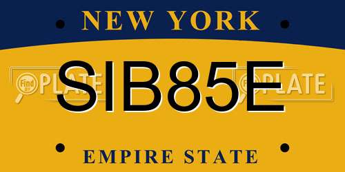 SIB85E New York License Plate