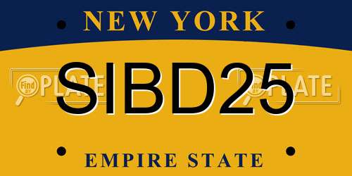 SIBD25 New York License Plate
