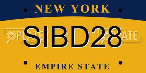 SIBD28 New York License Plate