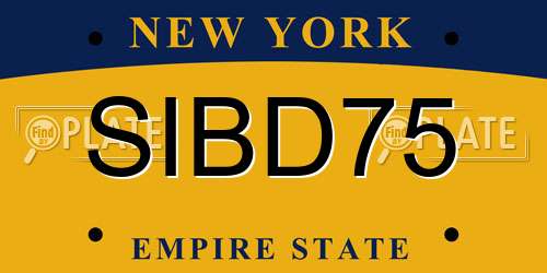 SIBD75 New York License Plate