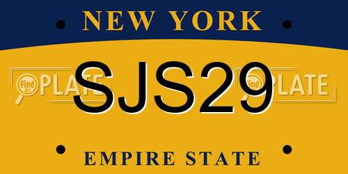 SJS29 New York License Plate