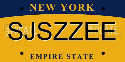 SJSZZEE New York License Plate