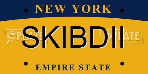 SKIBDII New York License Plate